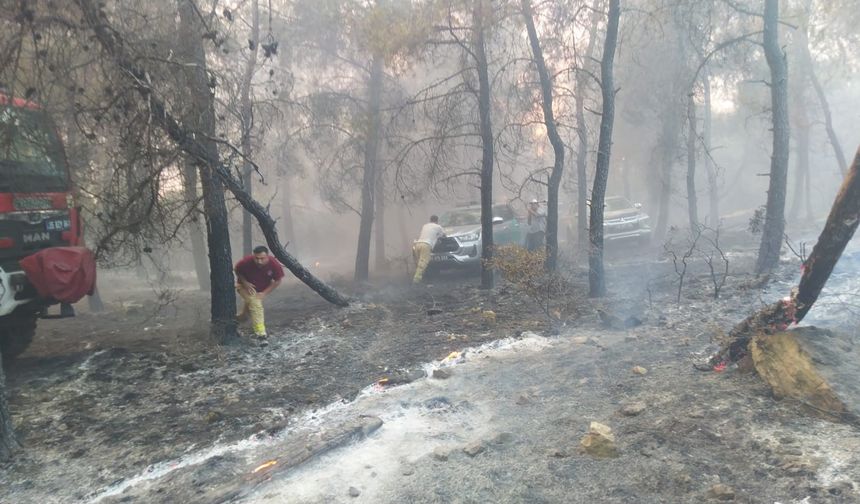 İzmir’de doğa yangınla sınanıyor