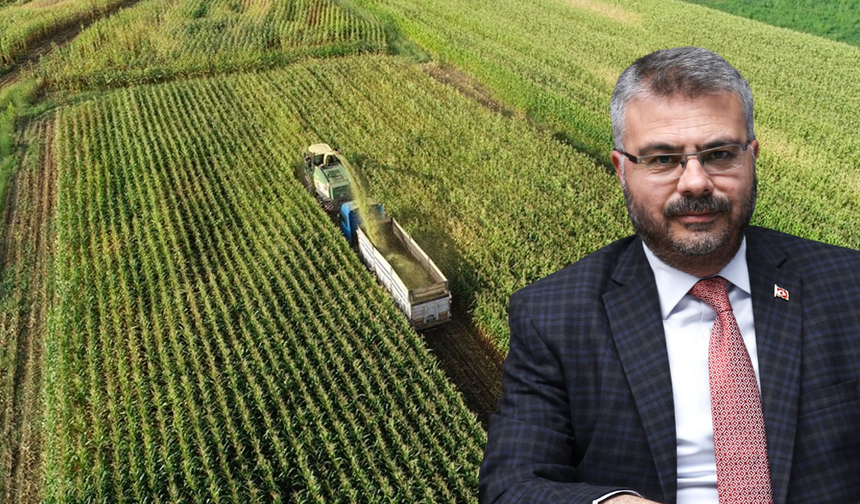 Aydınlı çiftçilere 388 milyon TL’yi aşan destek ödemesi başladı