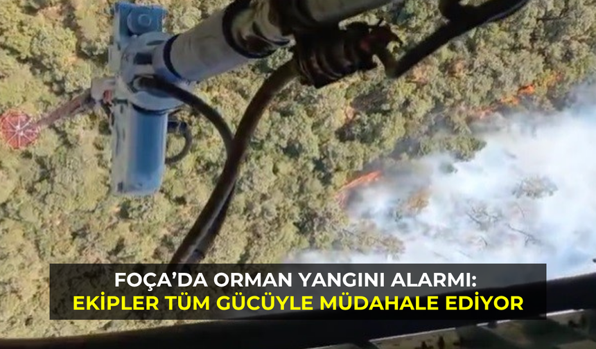 Foça’da orman yangını alarmı: Ekipler tüm gücüyle müdahale ediyor