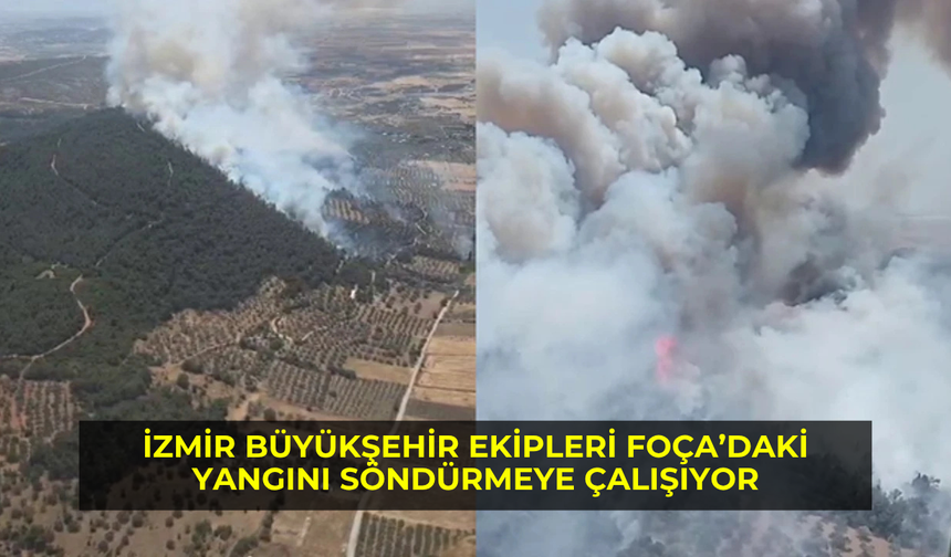 İzmir Büyükşehir Ekipleri Foça’daki yangını söndürmeye çalışıyor