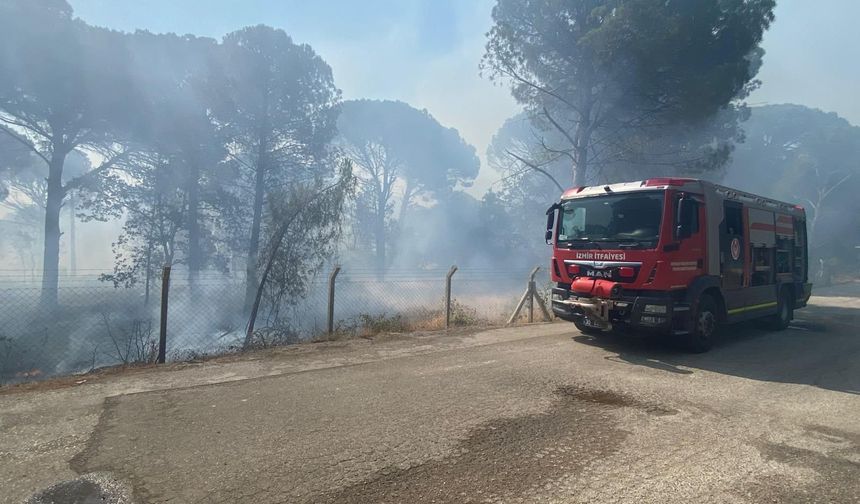 Bergama’da orman yangını: Müdahale sürüyor
