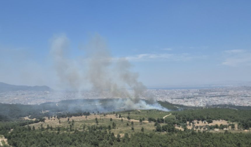 İzmir Bucada yangın paniği: Ekipler alevlere karşı seferber oldu