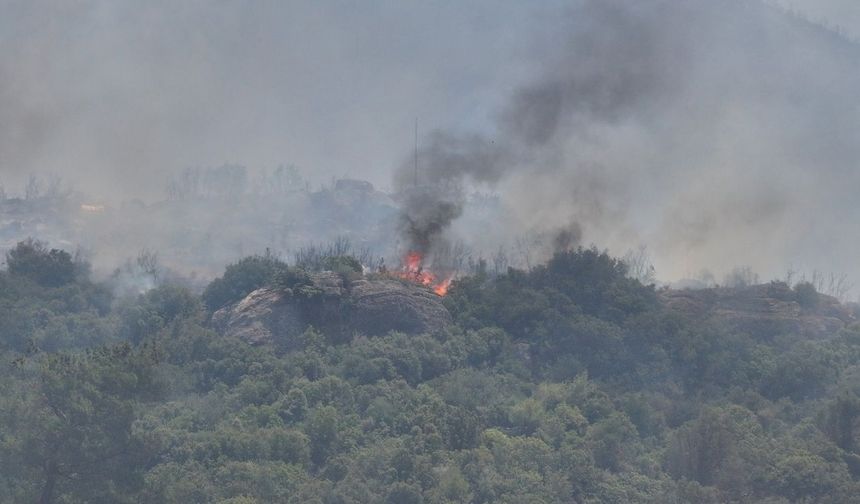 İzmir Yangınları Ekosistemi Yok Etti