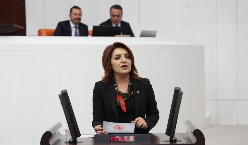 CHP’li vekilden iktidara yangın eleştirisi!