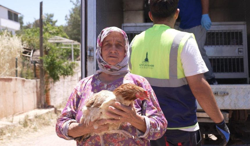 İzmir’de yangın sonrası hayvanlar güvenli ellerde