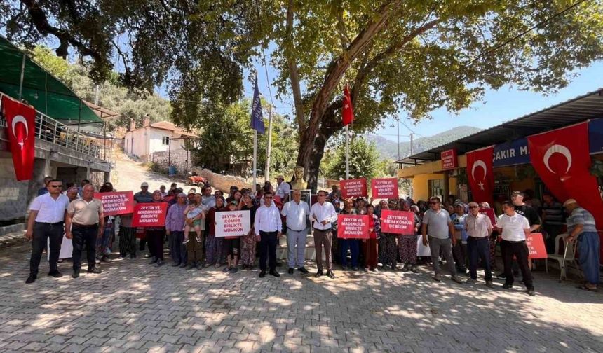 Köylüler Milas’tan seslendi: "Zeytin ve maden birlikte 40 yıldır mümkündü, şimdi de mümkün"