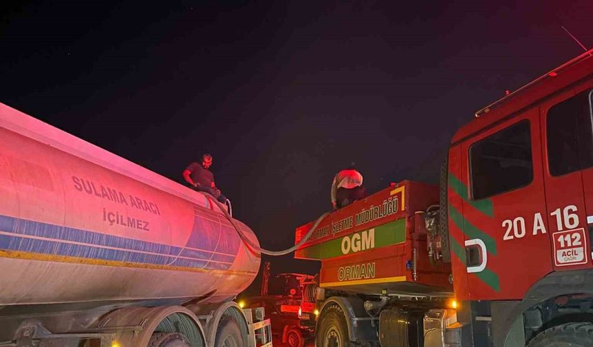 Uşak’ta ormanlık alandaki yangınlar kontrol altına alındı