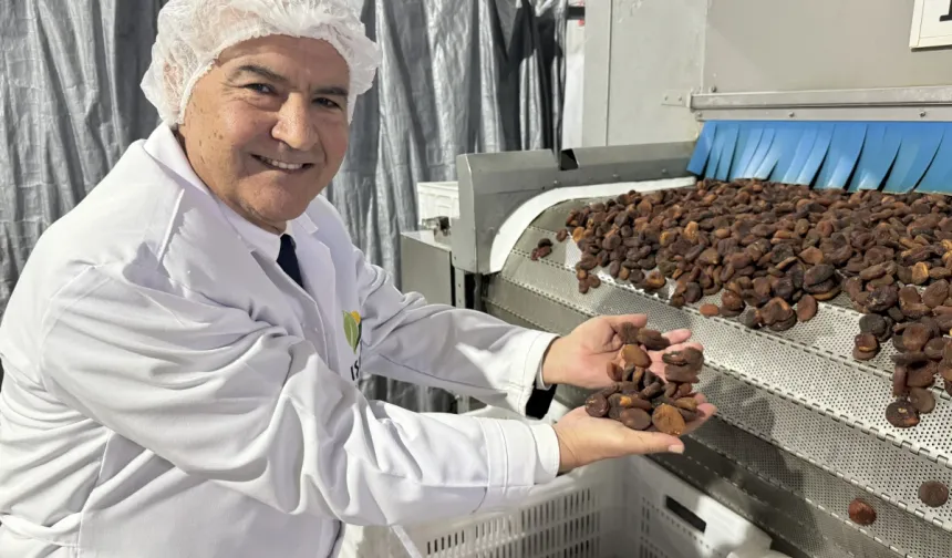 Kuru meyve sektöründe 12 ihracat şampiyonunun 11’i Egeli