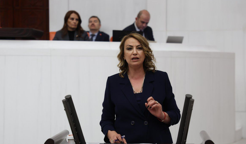 CHP’den Asi Nehri Barajı İçin Yatırım Çağrısı