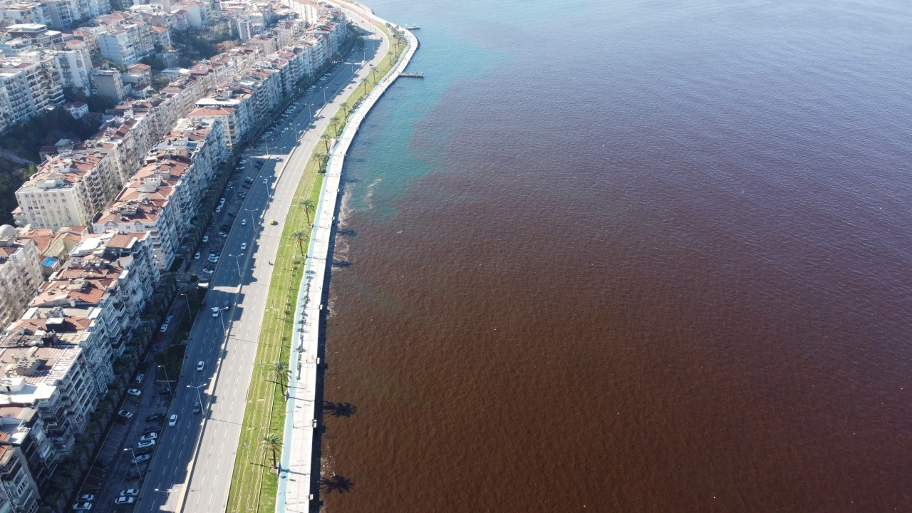 Izmir Korfezi Son 40 Yilin En Ko