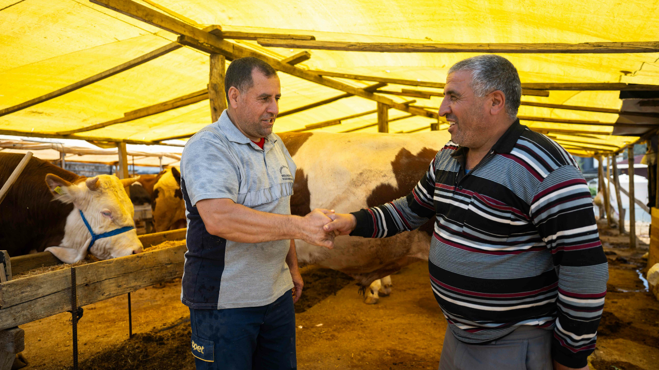 Kurban Bayramı-2