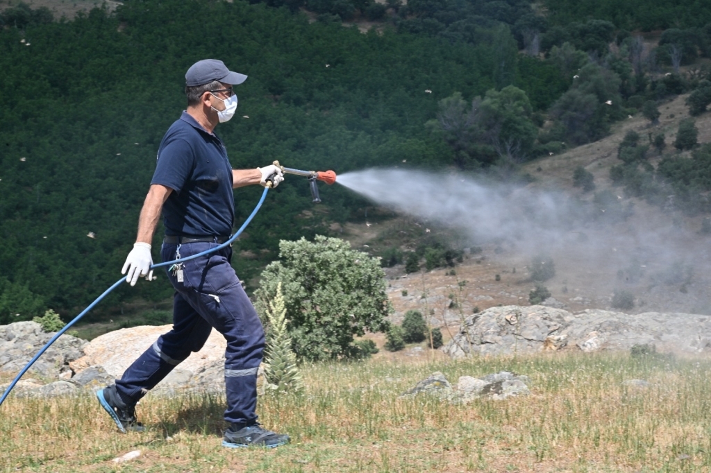 Manisa Belediyesi 3